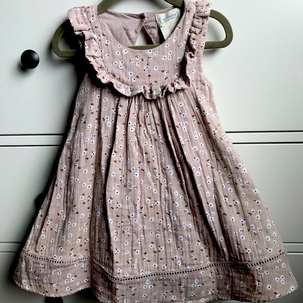 The prairie…2T dress